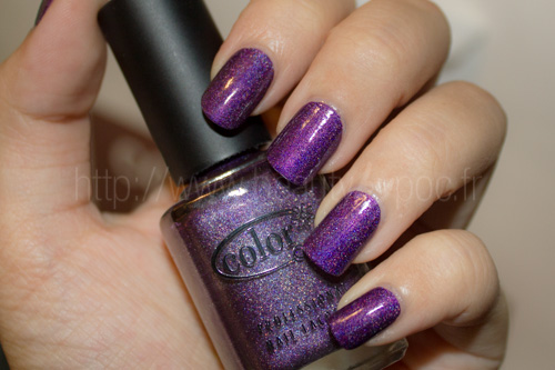Color Club : Wild at Heart
