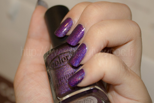 Color Club : Wild at Heart
