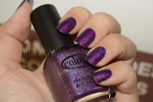 Color Club : Wild at Heart