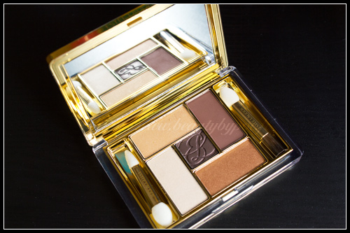Estée Lauder Palette Pure Color Ombres à Paupières Cinq Couleurs Bronze Dunes