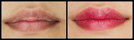 Estée Lauder Pure Color Rouge à Lèvres Wild Violet Printemps 2011