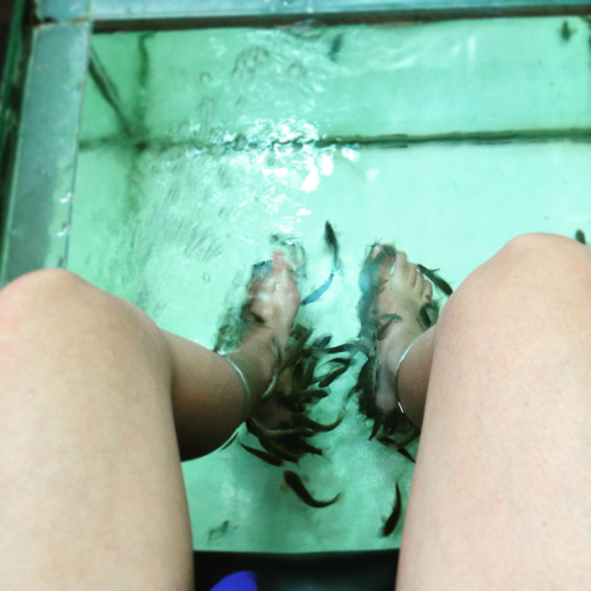 Moment cocooning : Fish pedicure et manucure en duo chez Hemera à Lille