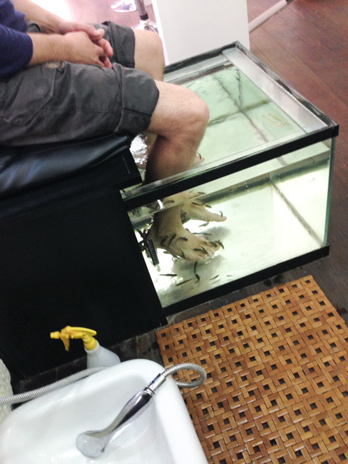 Moment cocooning : Fish pedicure et manucure en duo chez Hemera à Lille