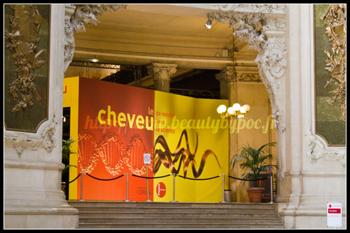 Expo Cheveu Palais de la Découverte