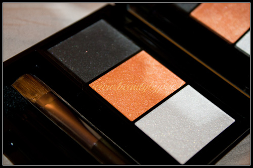 Shiseido Ombre Doux Eclat Trio OR302 Fire