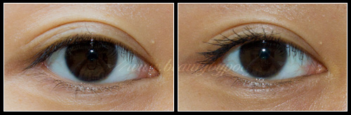 test-mascara-ellis-faas-mascara-poc-14 Mascara Ellis Faas
