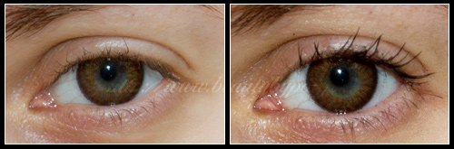 Effet Faux Cils Gemey