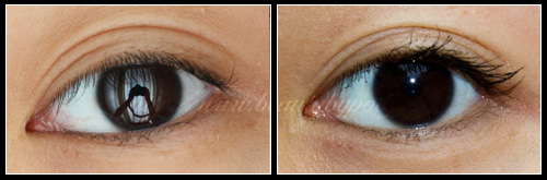 Effet Faux Cils Gemey