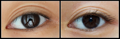 test-mascara-shiseido-mascara-parfait-poc-27 Mascara Parfait Shiseido