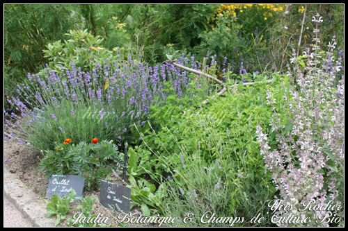 yves-rocher-la-gree-des-landes-20 Yves Rocher Jardin Botanique & Champs de culture bio