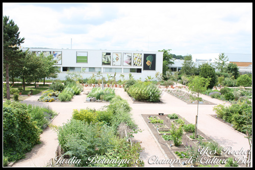 Yves Rocher Jardin Botanique & Champs de Culture Bio