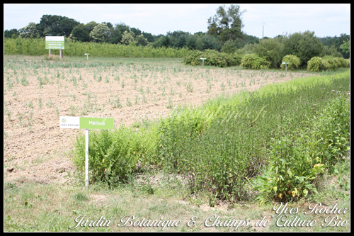 yves-rocher-la-gree-des-landes-24 Yves Rocher Jardin Botanique & Champs de Culture Bio