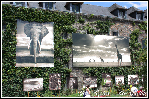 Yves Rocher La Gacilly
